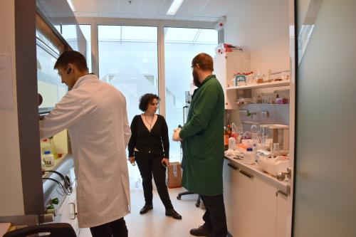 Laboratorijoje