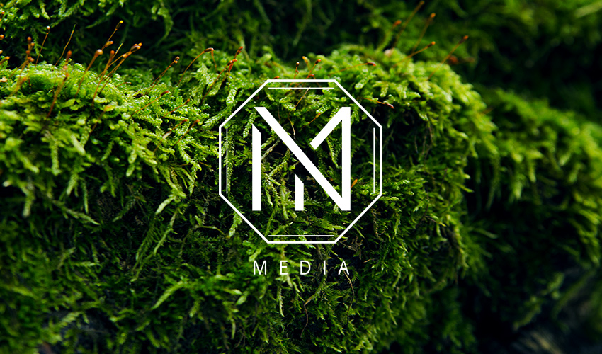 YES / NO media - digital advertising services